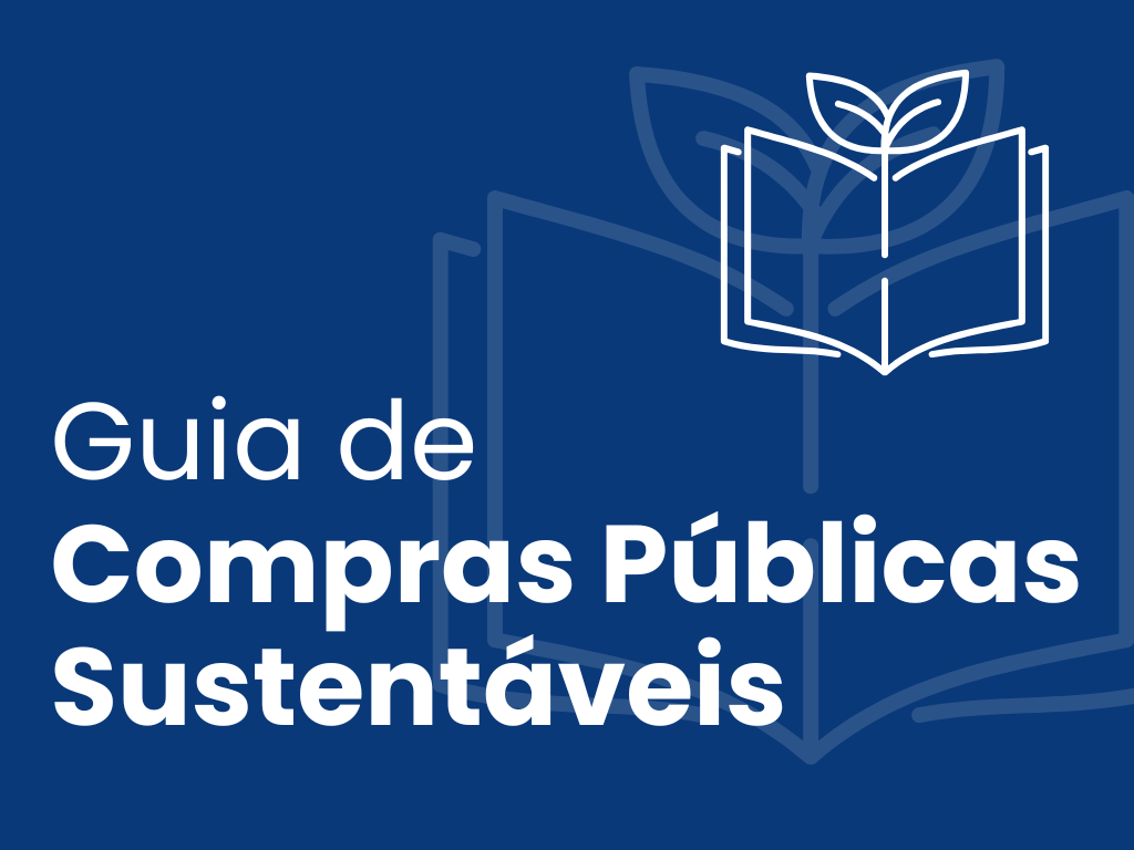 SEI e Painel de Negócios Públicos